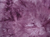 INSPIRE SPANDEX